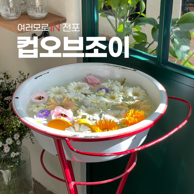 컵오브조이 이미지