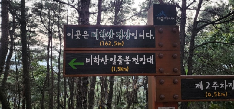 비학산4코스정상 이미지