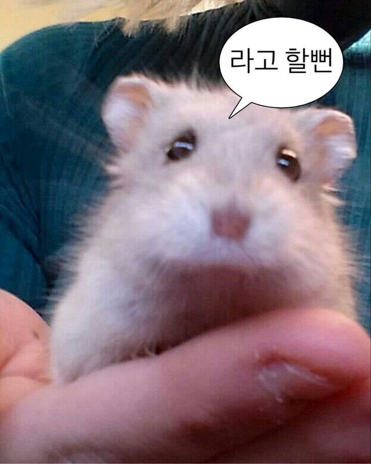 조선숯불치킨 이미지