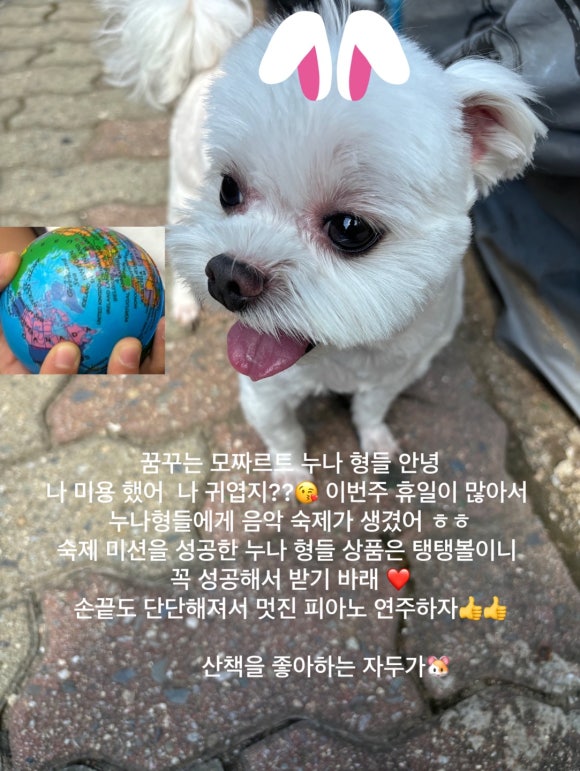 안녕;모차르트음악학원 이미지