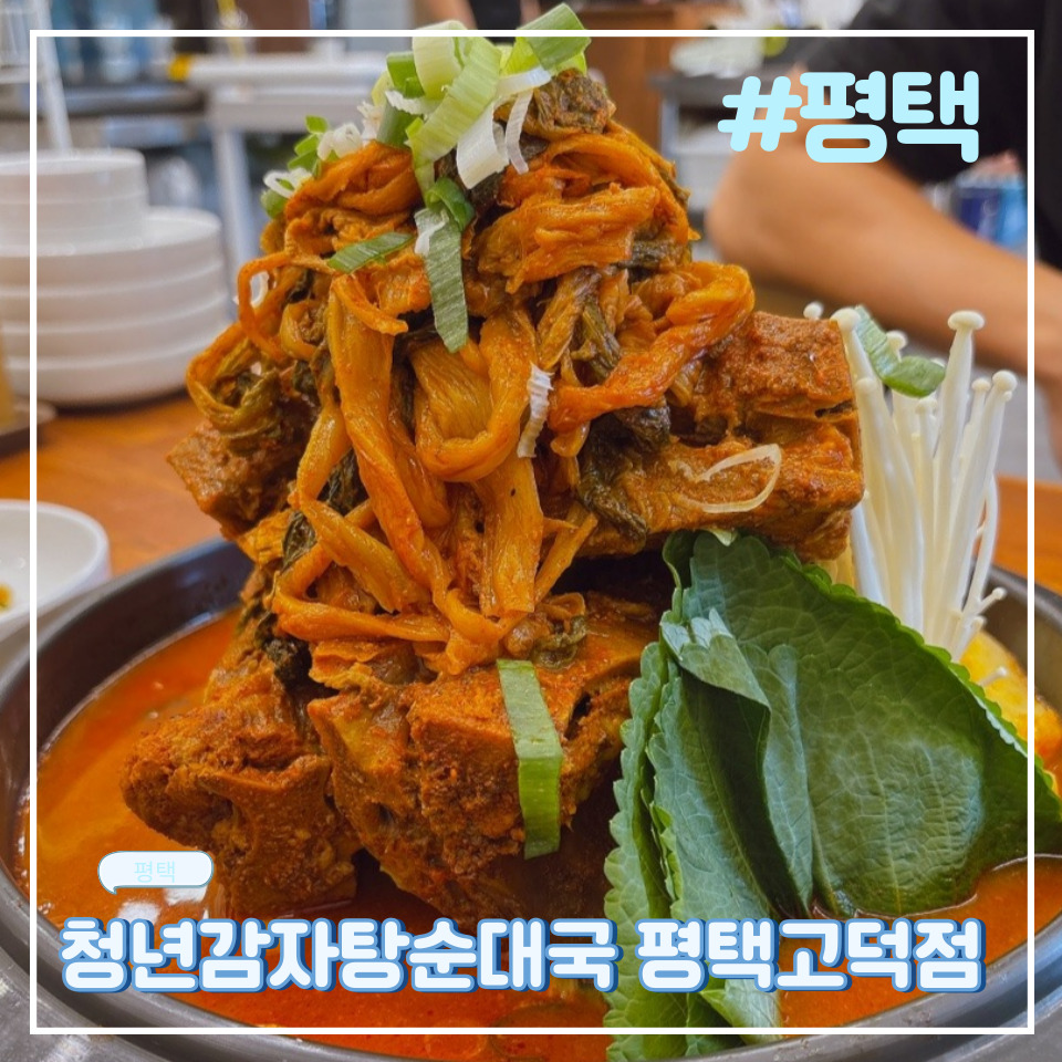청년감자탕순대국 평택고덕점 이미지