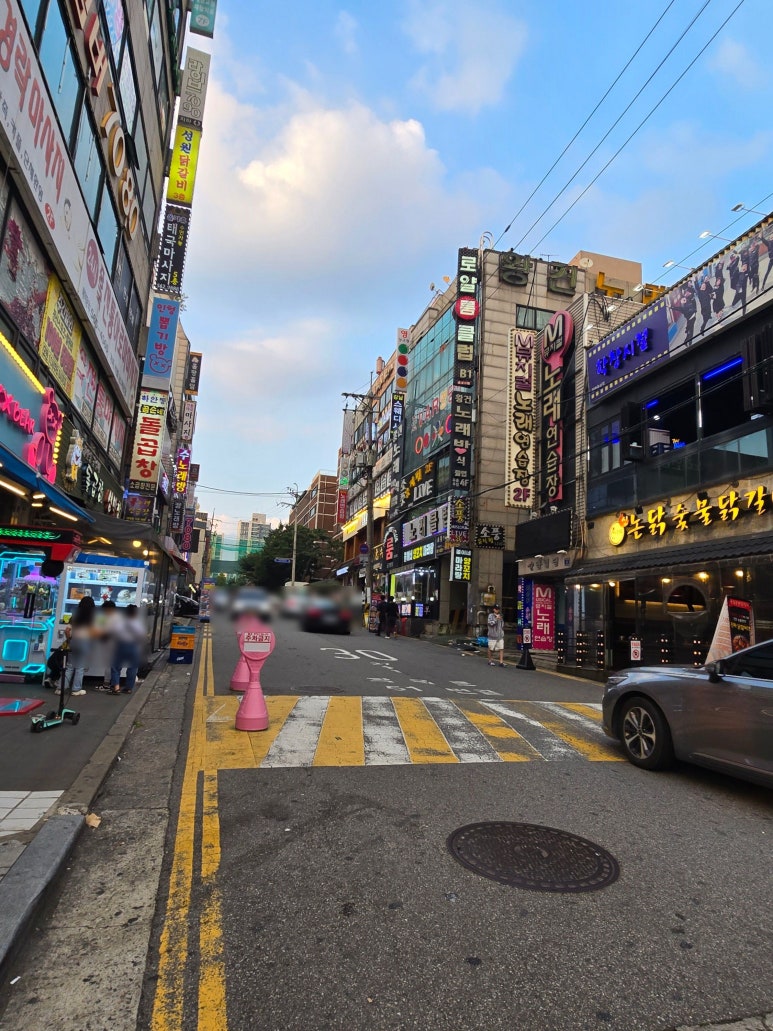 제주왕삼육 이미지