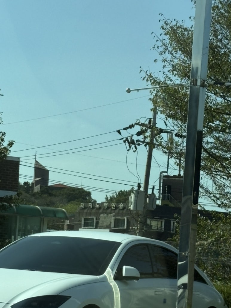 돼지노래연습장 이미지