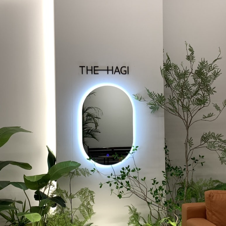 THE HAGI(더하기) 이미지
