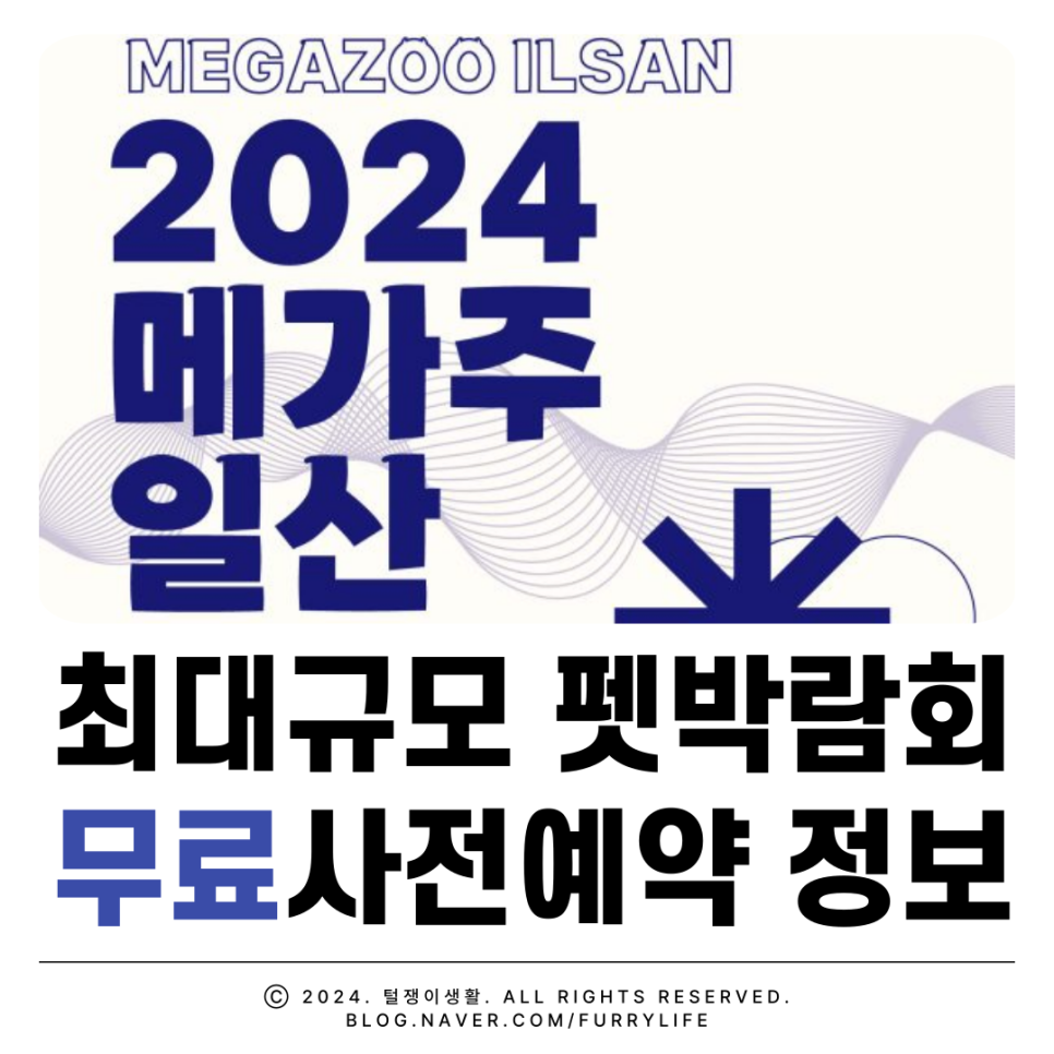 케이마켓주 이미지