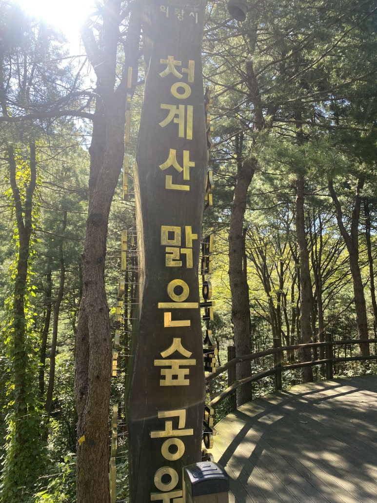맑은숲 이미지