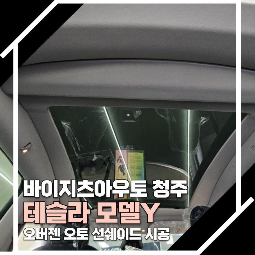 오토스타일레이노 이미지