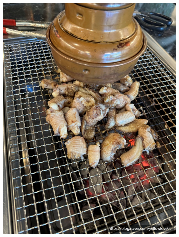 용마그집장어 이미지