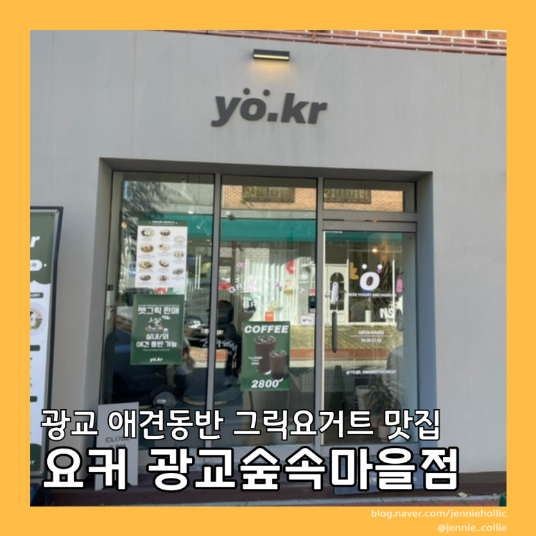 요커광교숲속 이미지