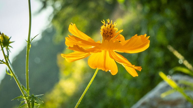 스튜디오서종 이미지