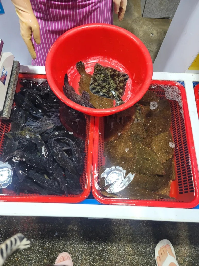 명희네만세회센타 이미지