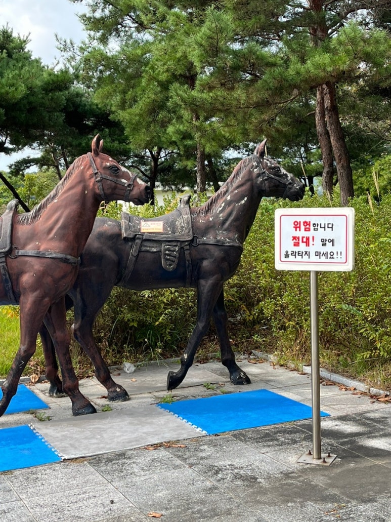 서천바베큐 이미지