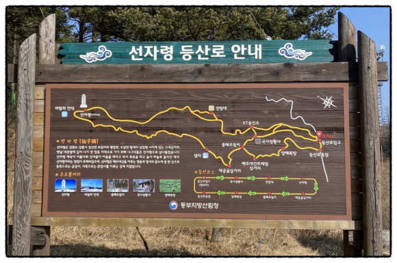 백두대간 치킨 이미지