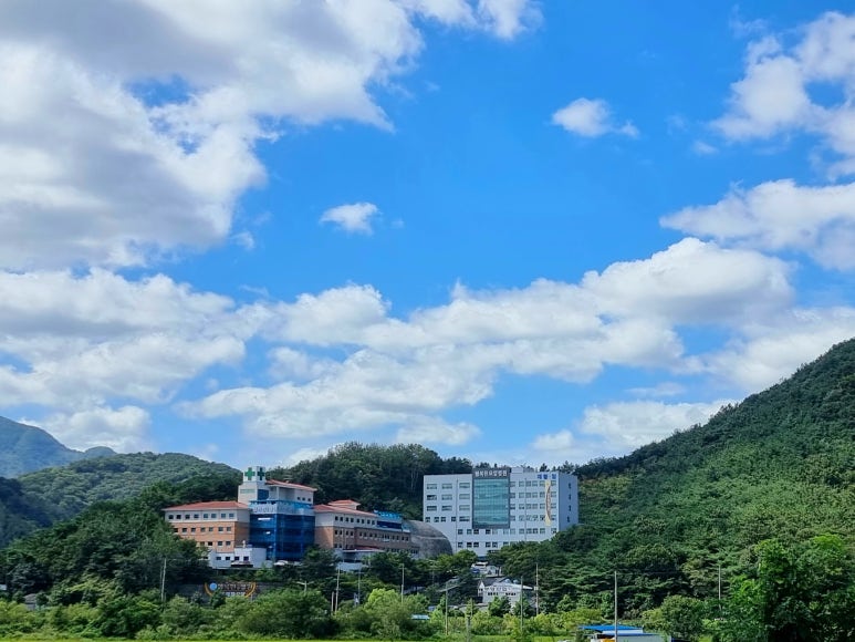 자연나무병원 이미지