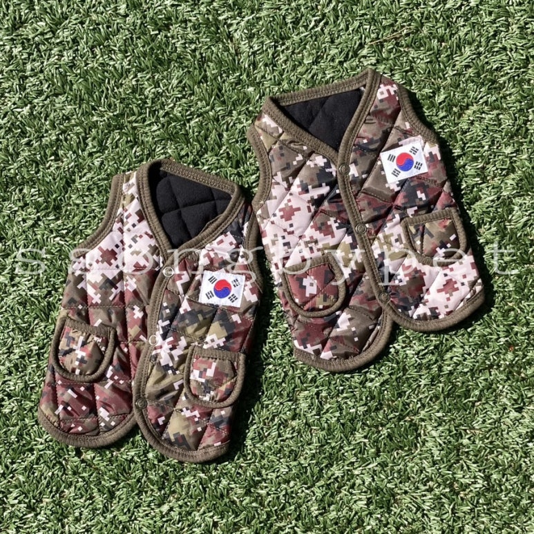 바이쏭 이미지