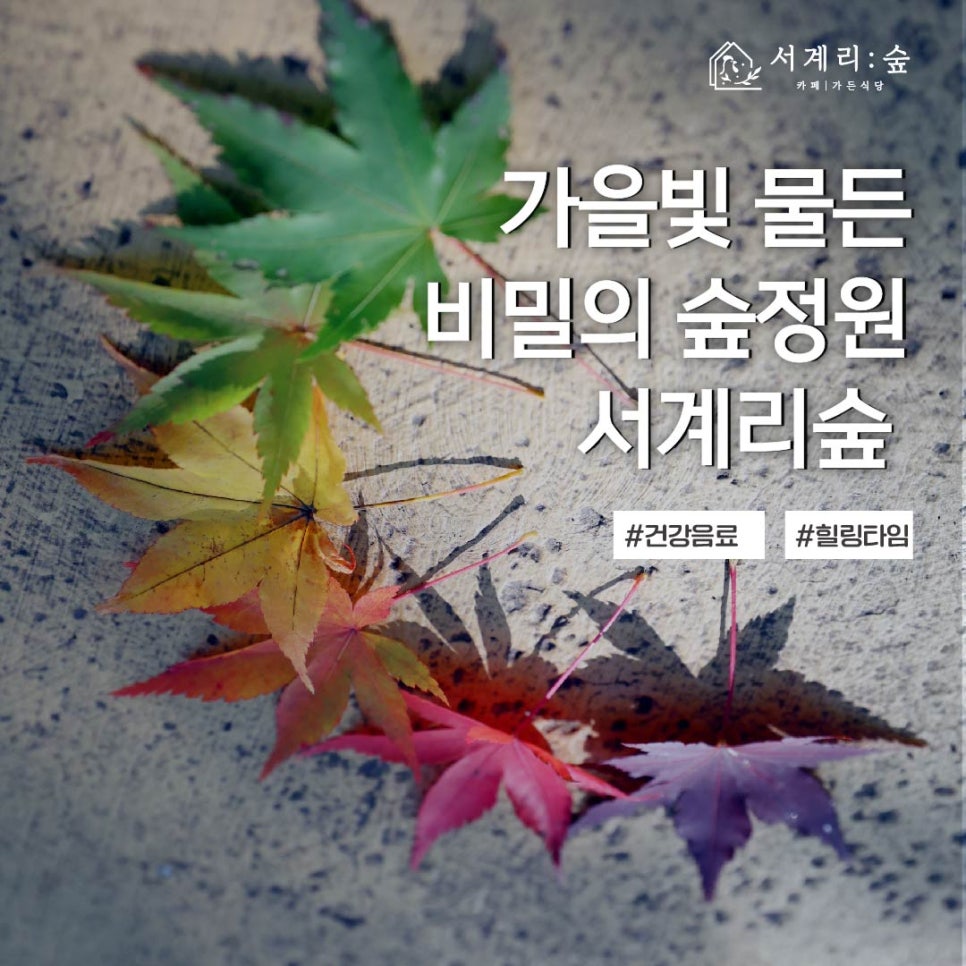 서계리숲 이미지