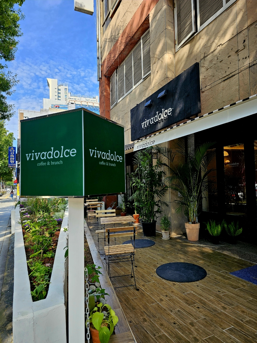 비바돌체(vivadolce) 이미지