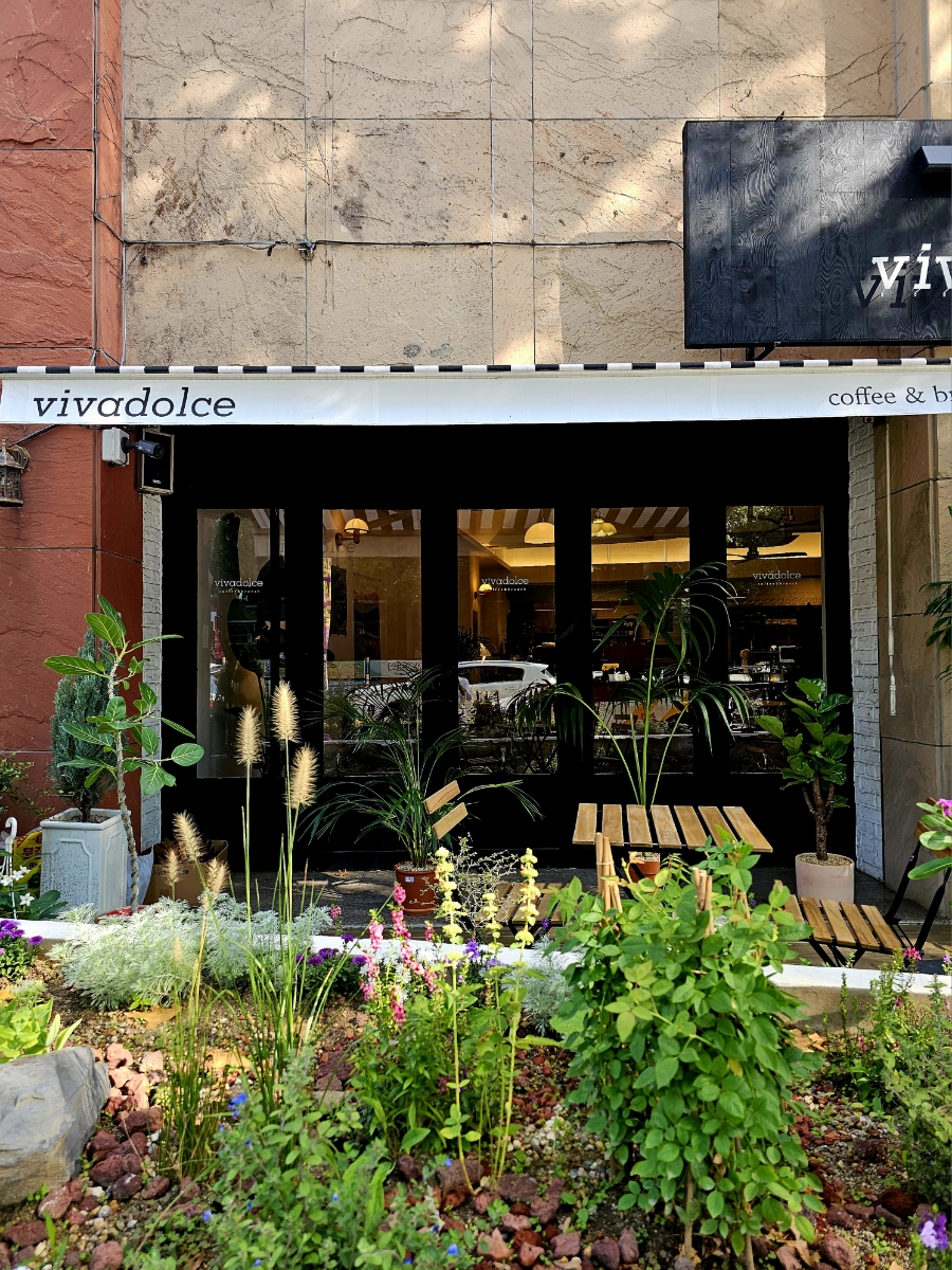 비바돌체(vivadolce) 이미지