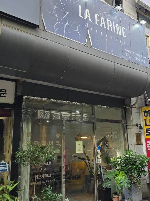 라파린 이미지
