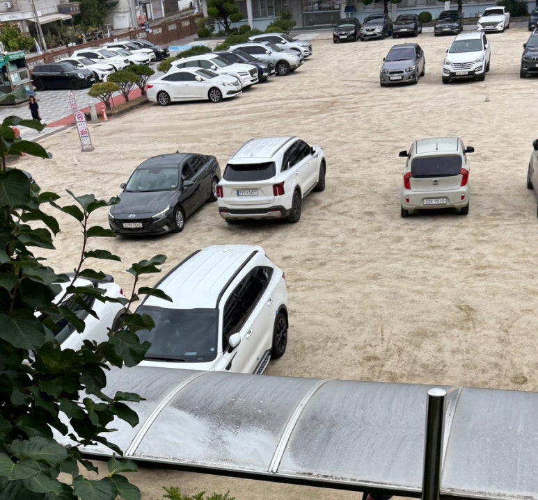 대성세무회계 이미지