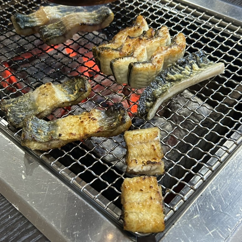 황당한장어 이미지