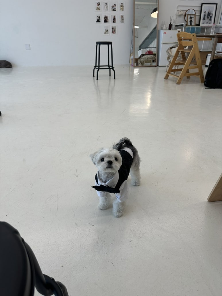 노즈밀 이미지