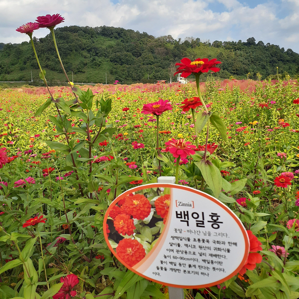 관상을그리다 이미지