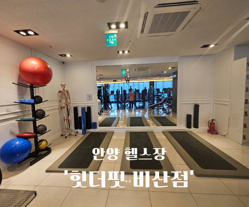 힛더핏 이미지