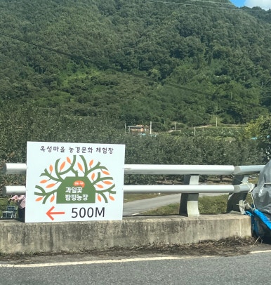 카페팜핑 이미지