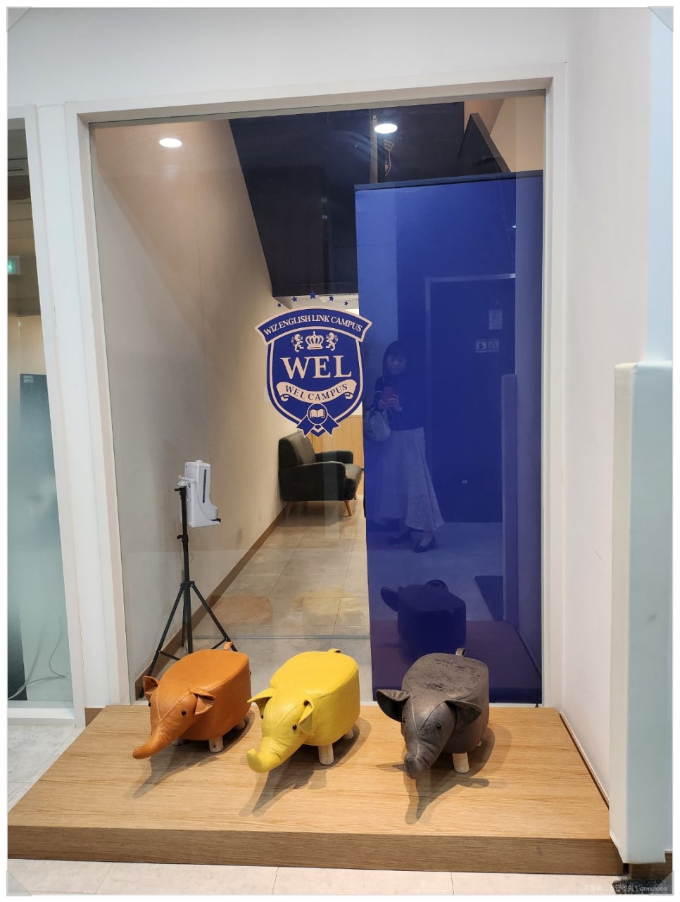 위즈아일랜드어학원 이미지
