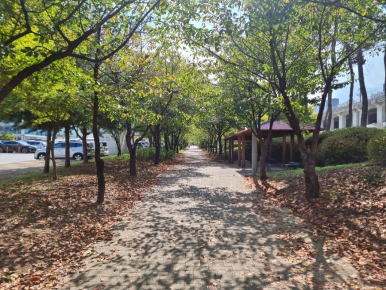 유림한식뷔페 이미지
