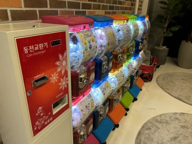 월드킹 포항점 이미지