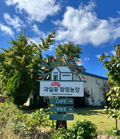 카페팜핑 이미지