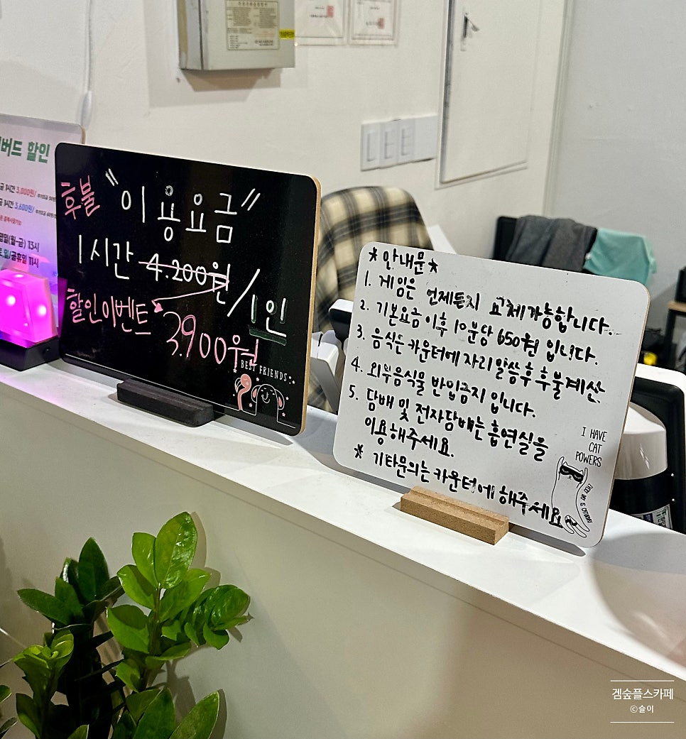 겜숲플스카페 이미지