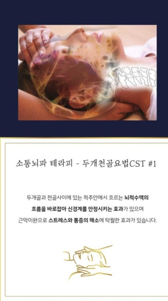 식물들의 소통 이미지