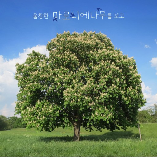 혜시기네 이미지
