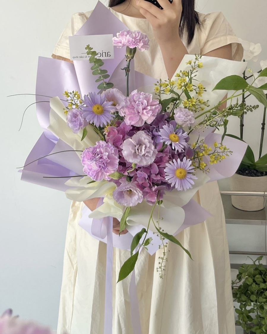아리에 이미지
