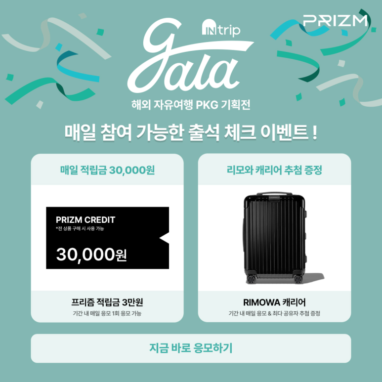인트립 이미지