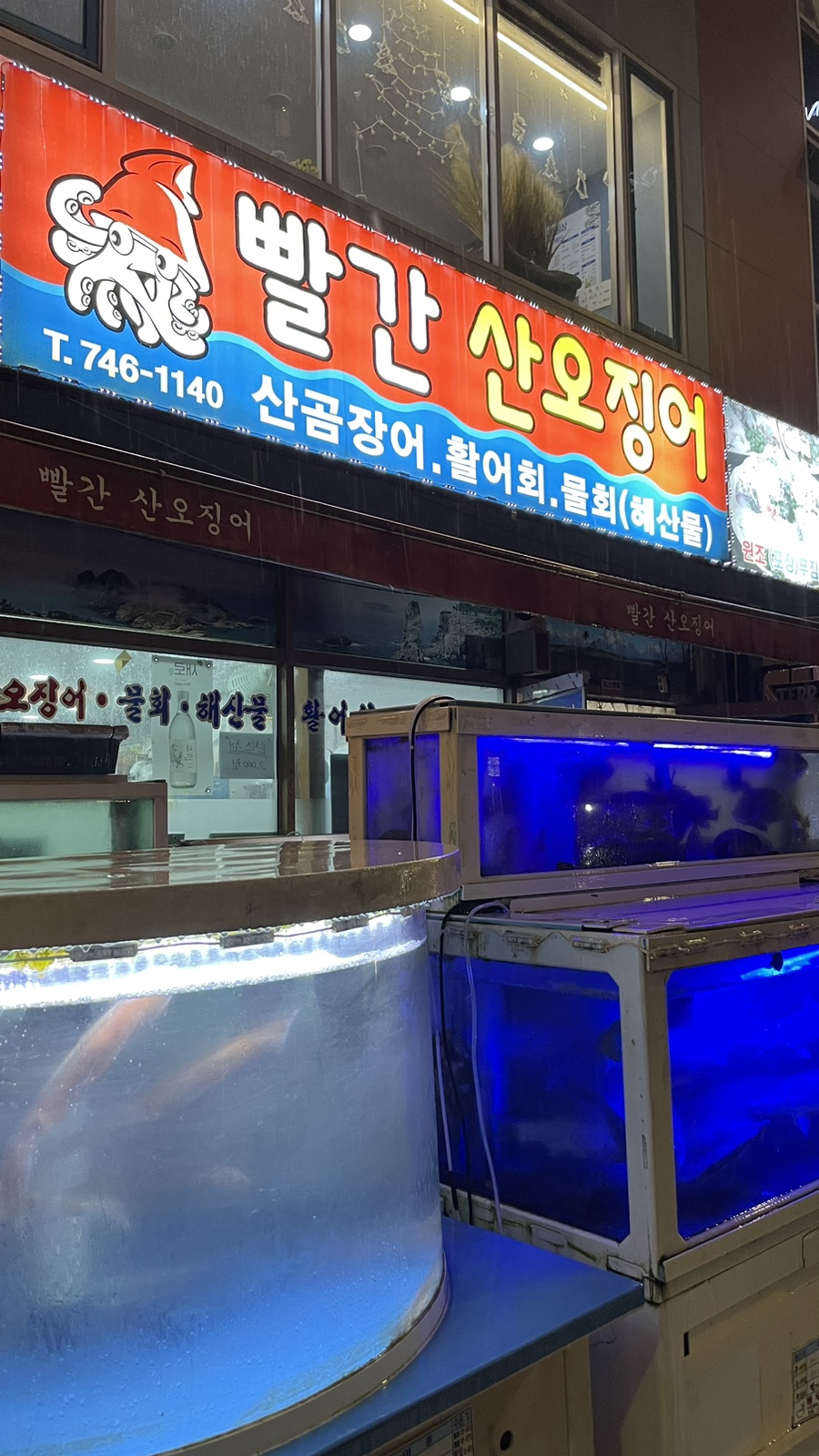 빨간산오징어 이미지