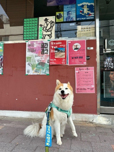 주책필름 이미지
