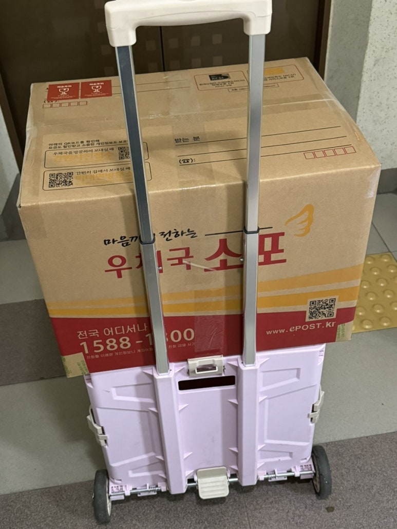 플라워세보 이미지