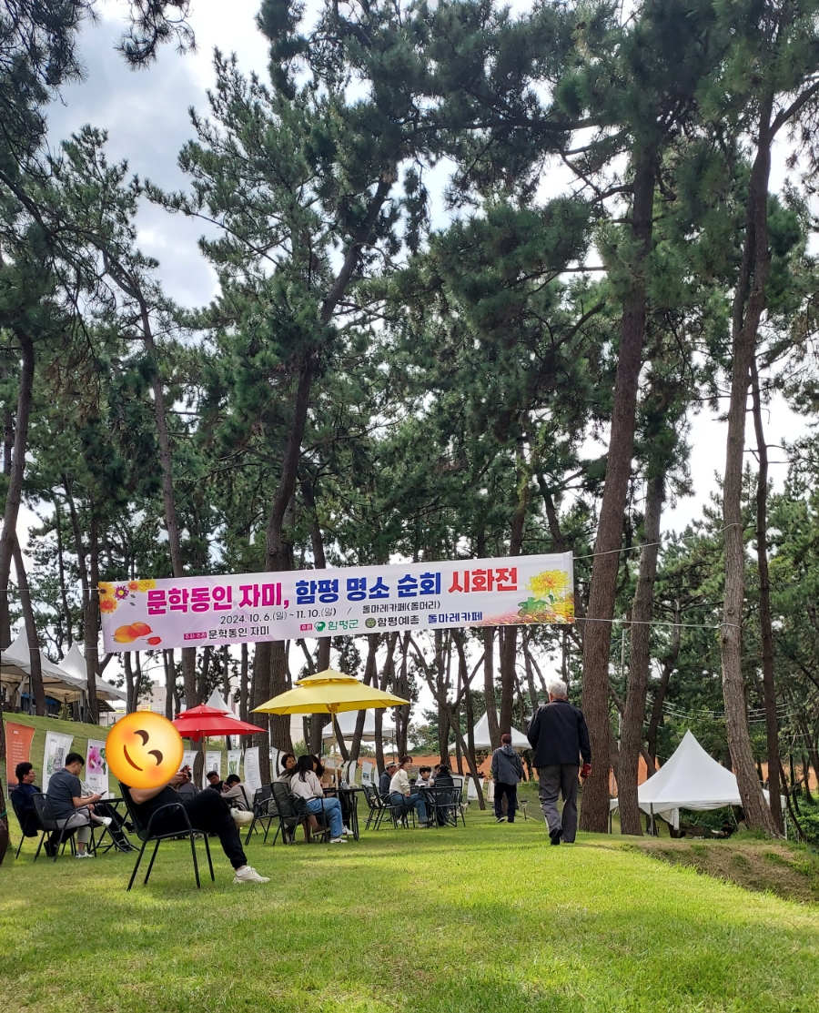 돌마레690 이미지