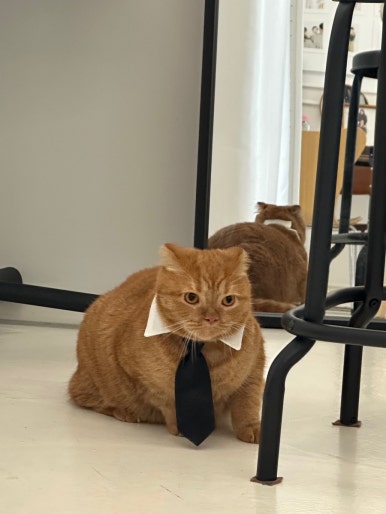 노즈밀 이미지