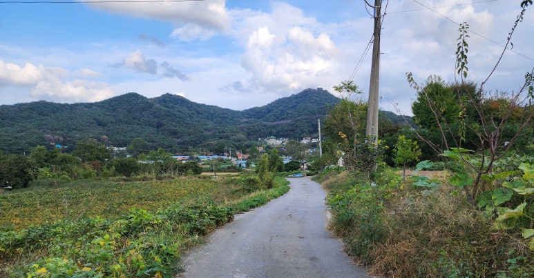 아미산숲센터 이미지