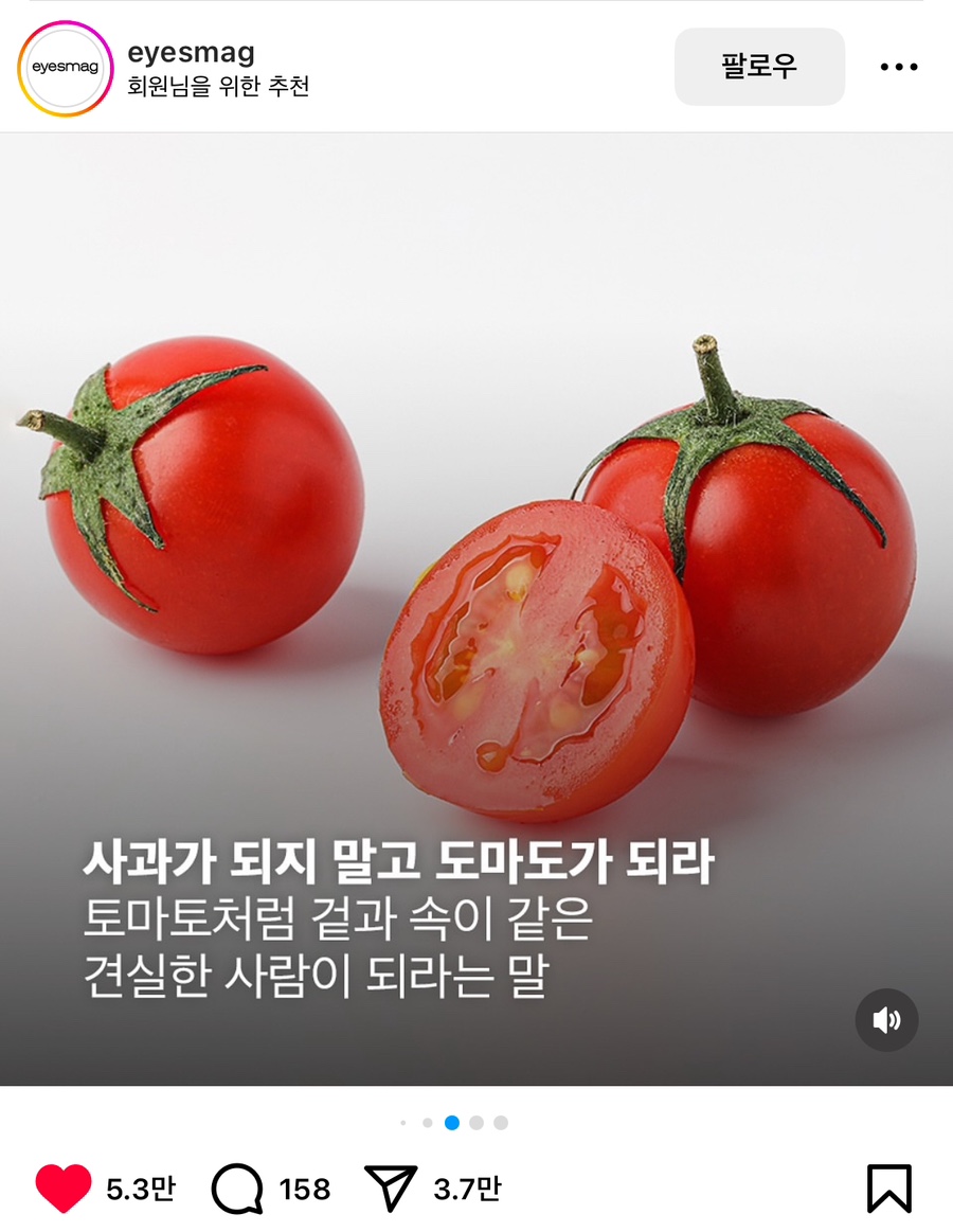 도마도마도 이미지