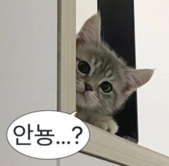 말랑 이미지