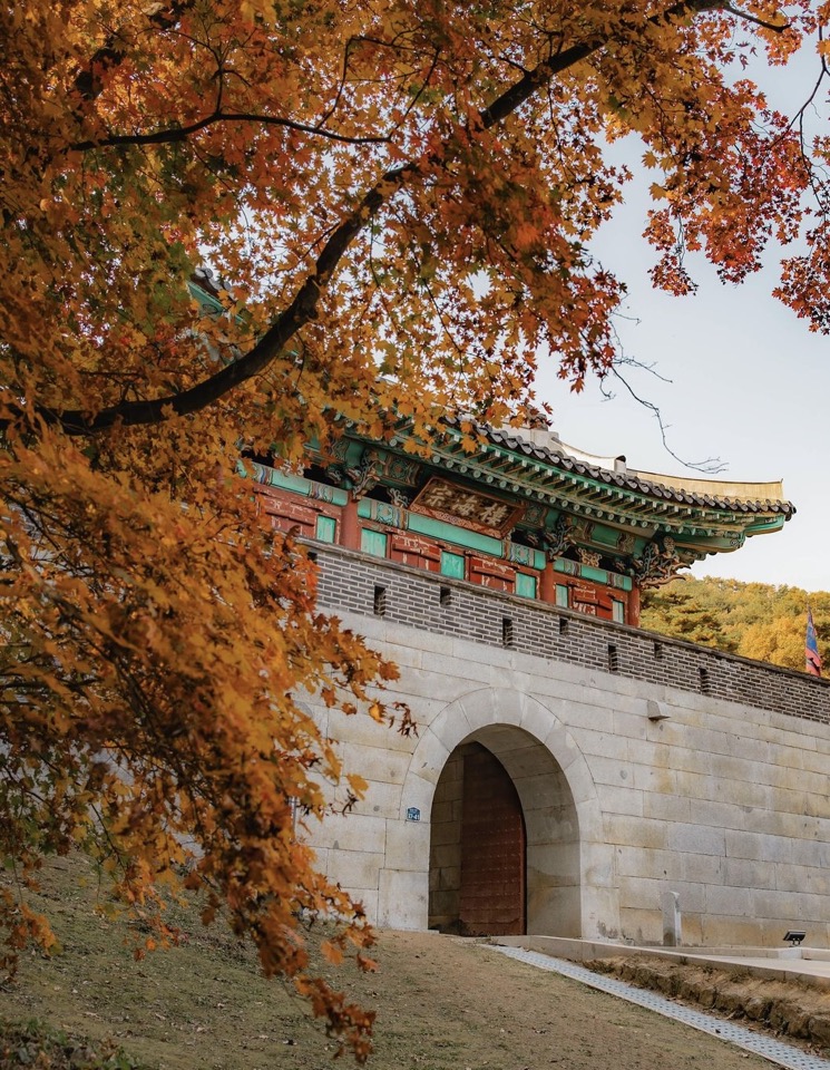 염씨표류기 이미지