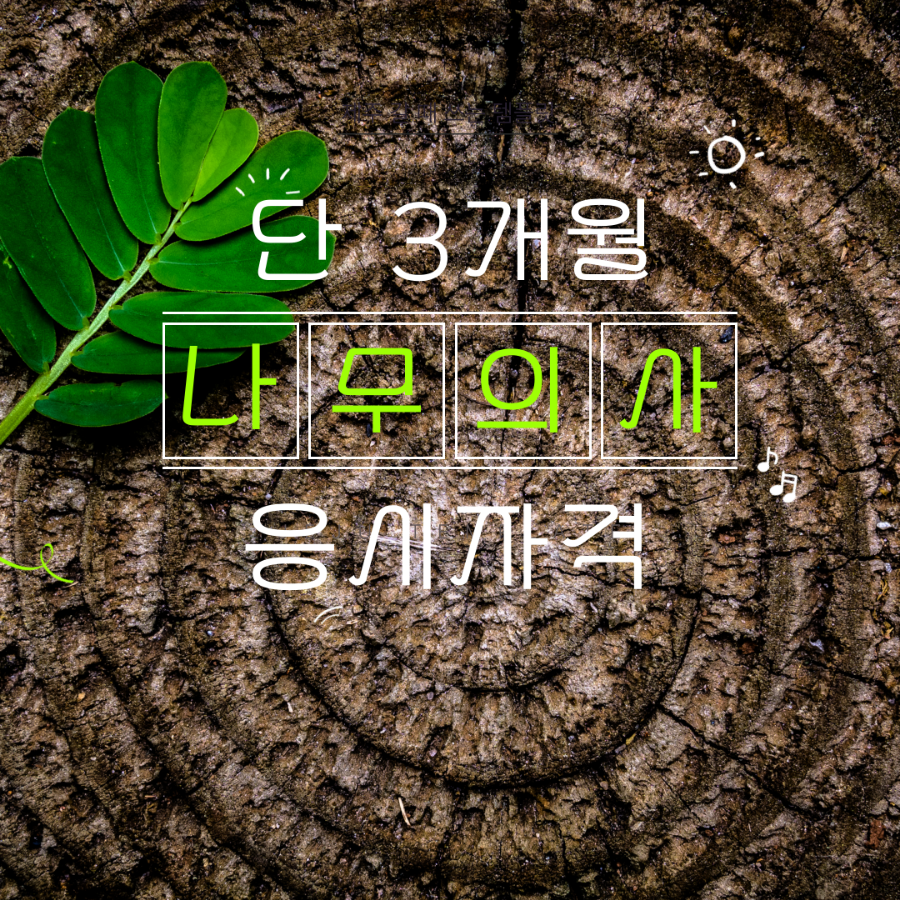 다옴나무병원 이미지