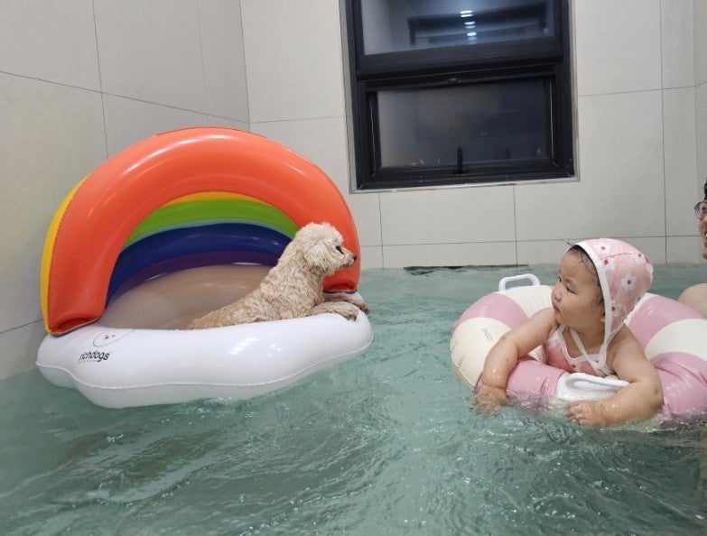 포레스트258/포레스트258펜션 이미지
