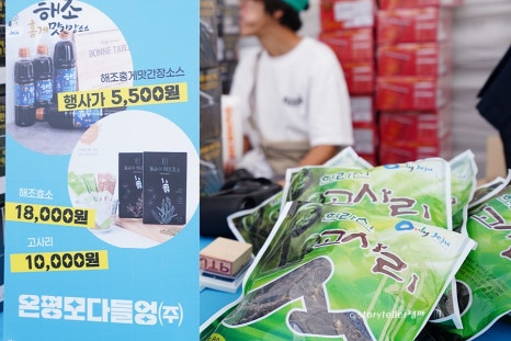영어조합법인올레바당 이미지